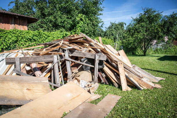 Professional Junk Removal  in Clifton Heights, PA